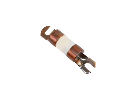 Fuse, 300 A, Time Delay, 125 V