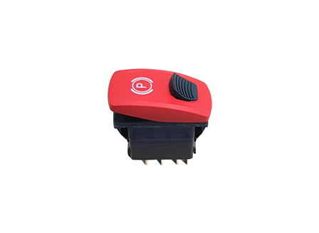 Switch Assembly, Parking with Lock