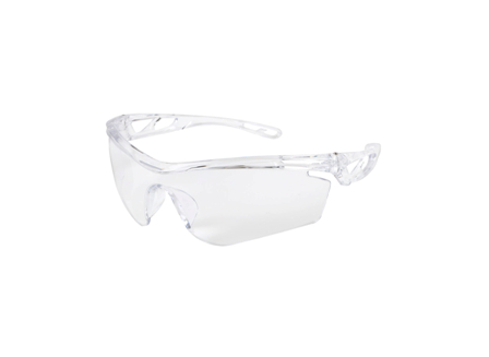 Anti-Fog Safety Glasses, Standard, Case/12