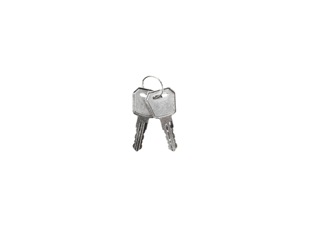 Lift Truck Power Switch Key, Pack/2