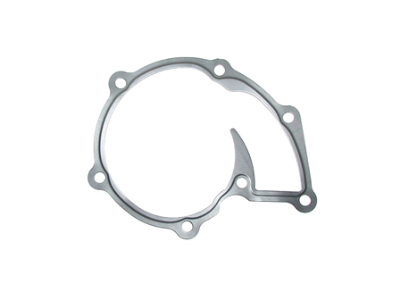 Water Pump Gasket