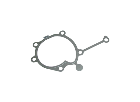 Water Pump Gasket